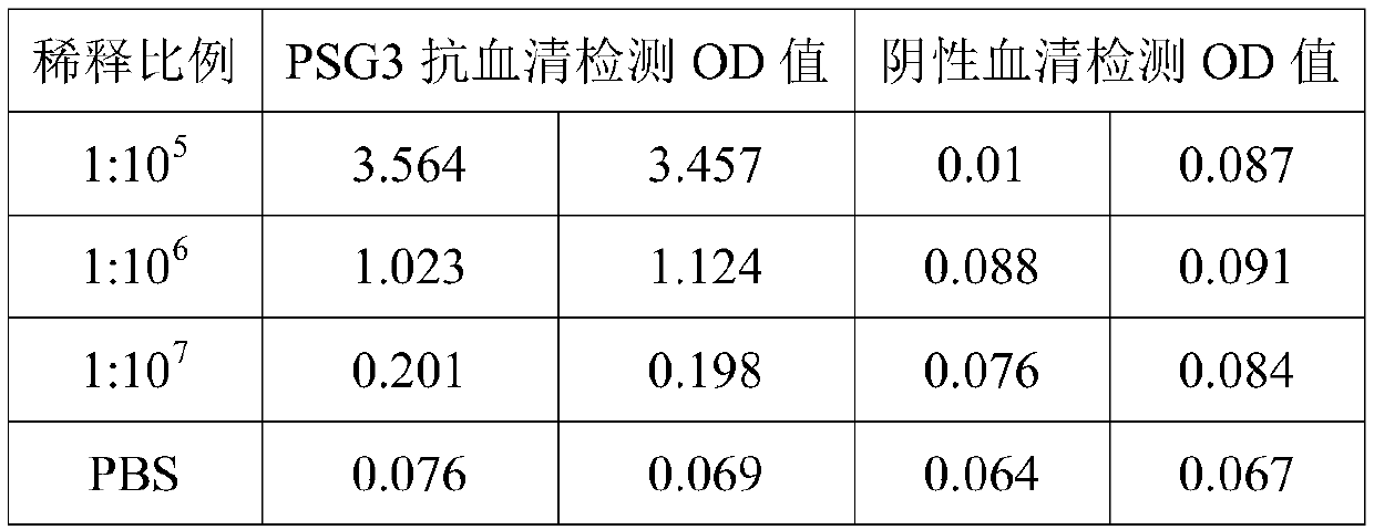 Preparation method of rabbit polyclonal antibody of pregnancy-specific glycoprotein 3