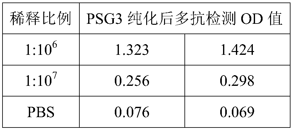 Preparation method of rabbit polyclonal antibody of pregnancy-specific glycoprotein 3