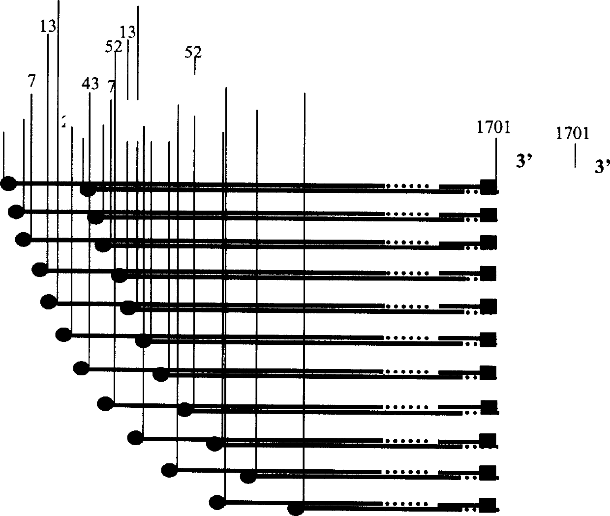 Curtail hemagglutinin vaccine for preventing influenza virus and its preparing method