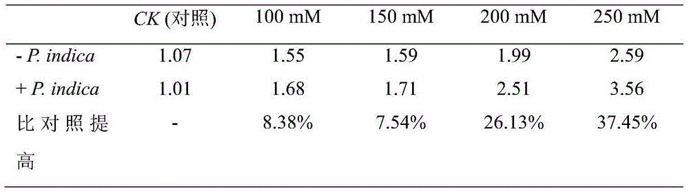 Method for improving salt stress tolerance of medicago truncatula