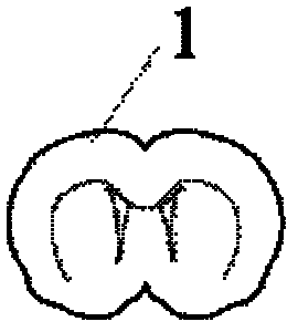 Method for simply preparing DiI (1,1'-dioctadecyl-3,3,3',3'-tetramethylindocarbocyanine perchlorate) microscopic particles and marking neurons