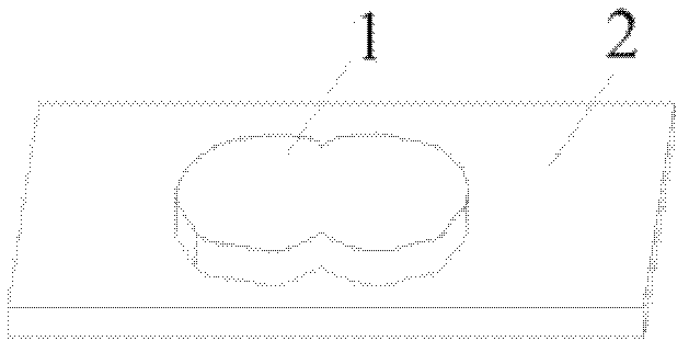 Method for simply preparing DiI (1,1'-dioctadecyl-3,3,3',3'-tetramethylindocarbocyanine perchlorate) microscopic particles and marking neurons