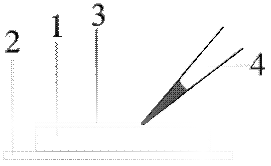 Method for simply preparing DiI (1,1'-dioctadecyl-3,3,3',3'-tetramethylindocarbocyanine perchlorate) microscopic particles and marking neurons