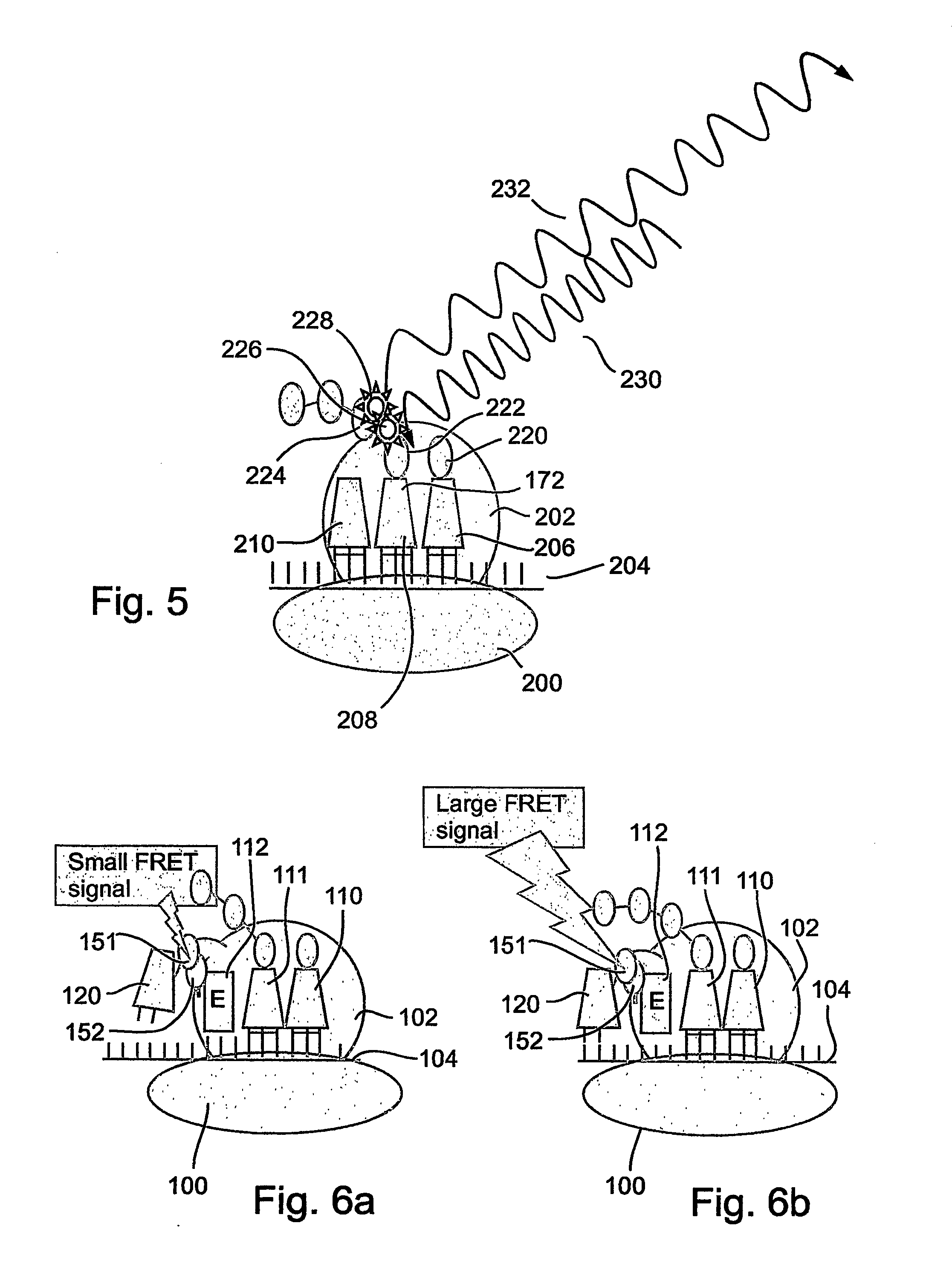 Protein synthesis monitoring (psm)