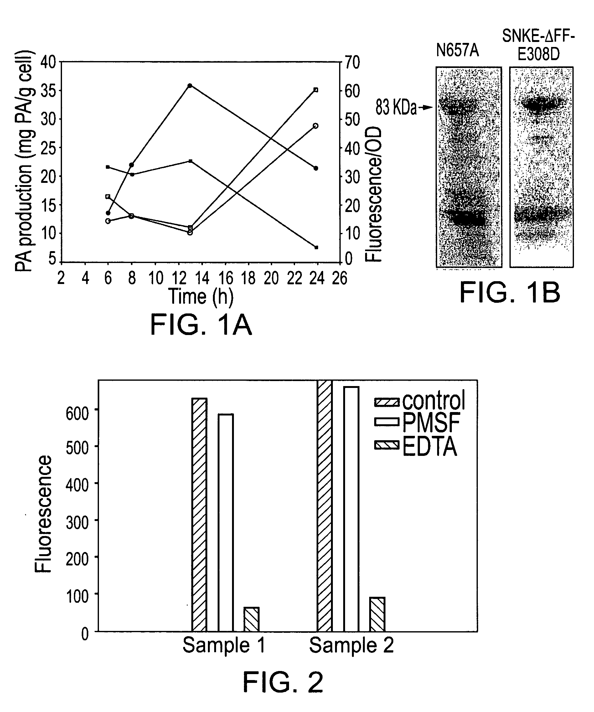 Recombinant modified Bacillus anthracis protective antigen for use in vaccines