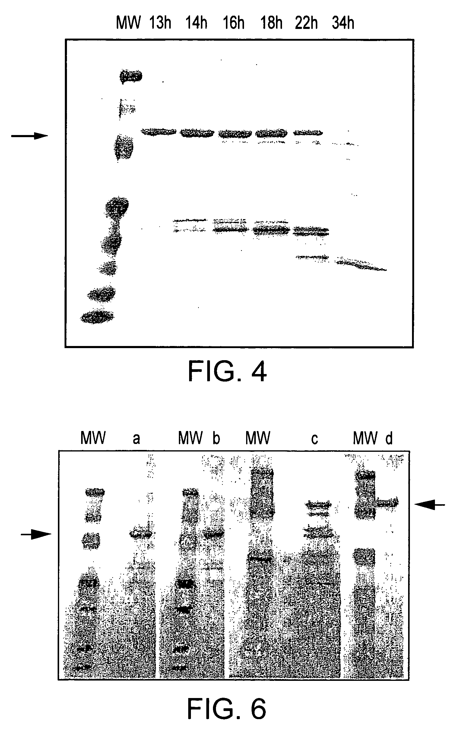 Recombinant modified Bacillus anthracis protective antigen for use in vaccines