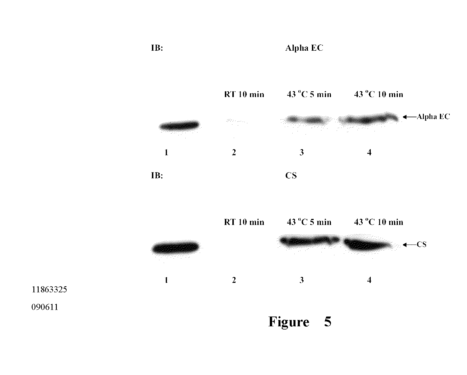 Novel application of fibrinogen-420 and its active domain