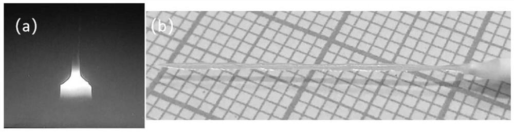 Rare earth doping (lu  <sub>a</sub> sc  <sub>b</sub> the y  <sub>c</sub> )  <sub>2</sub> o  <sub>3</sub> (a+b+c=1) single crystal optical fiber and its preparation method and application