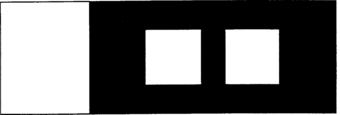 Protein-chip for prenated diagnosis and its preparing process