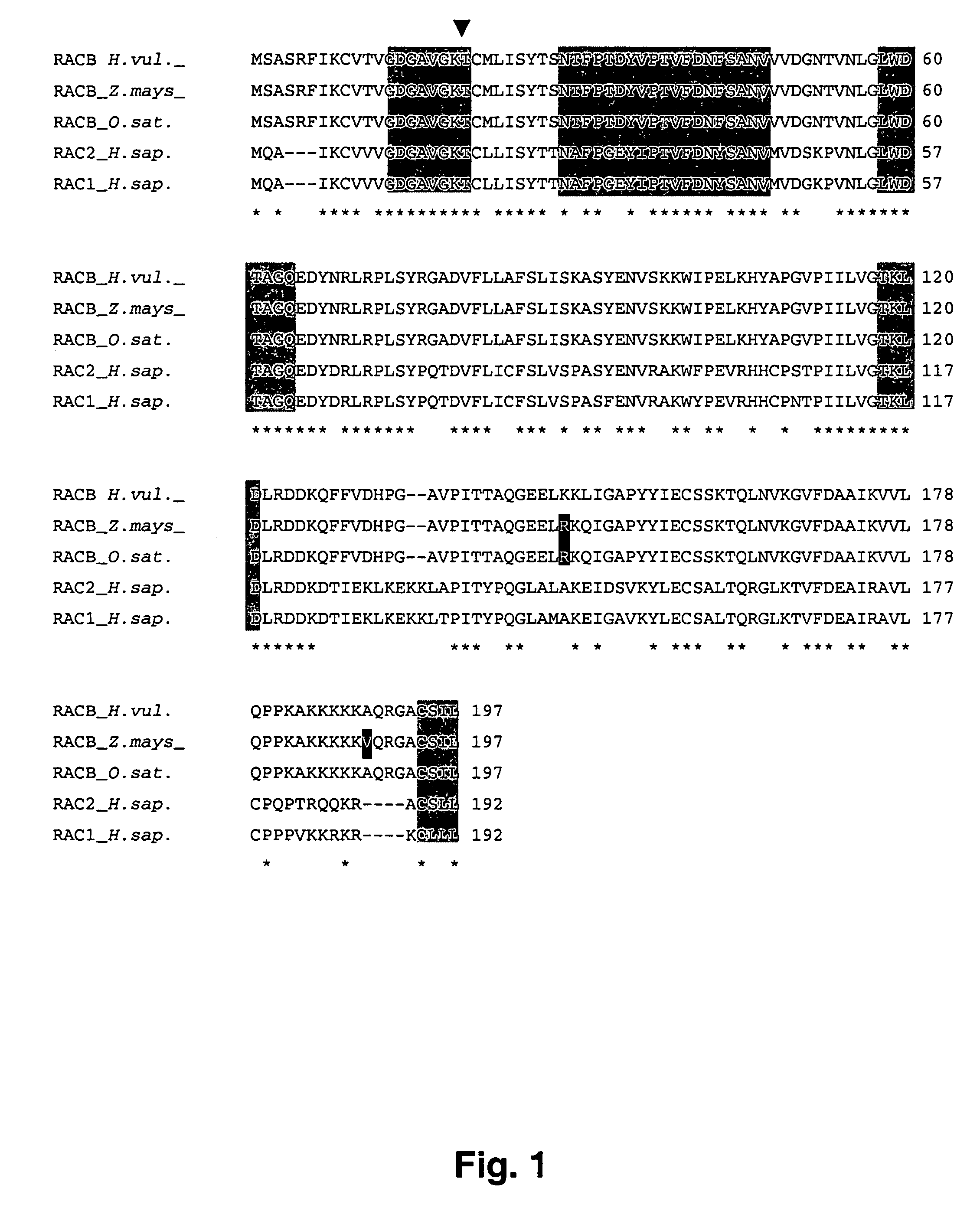 Nucleic acid sequences and their use in methods for achieving pathogen resistance in plants