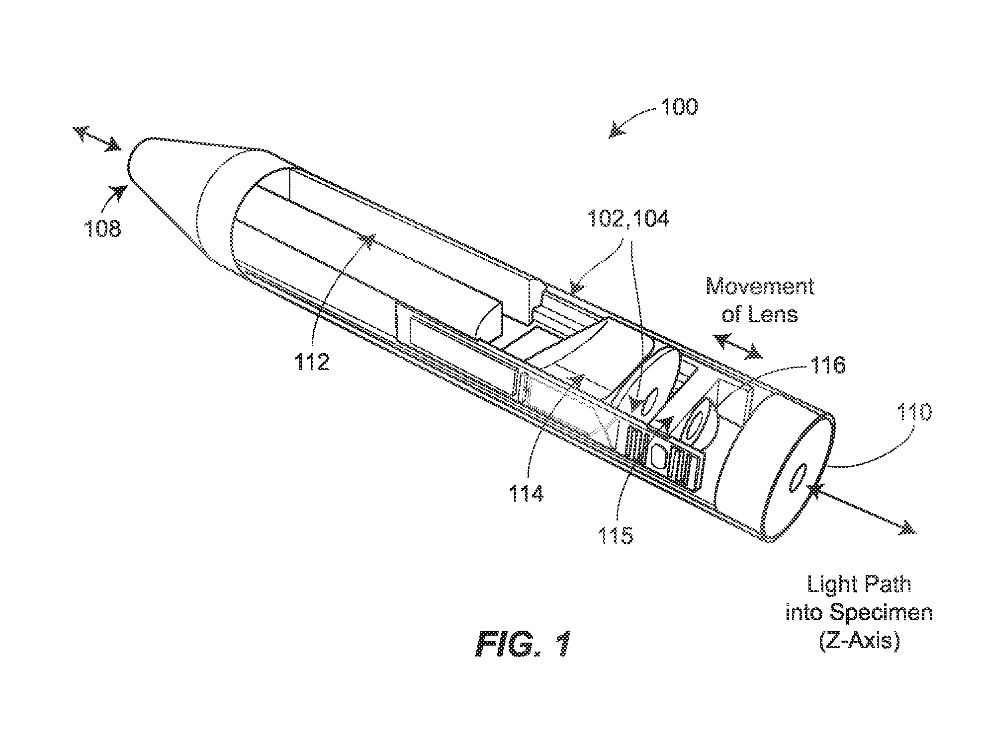 Two-Photon Endoscopic Scanning Assembly for Inflammatory Disease Detection