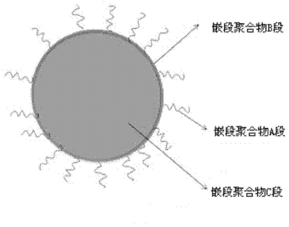 Cross-linked biologically degradable carrier polymer, micelle and vesicle, and preparation method and application of the cross-linked biologically degradable carrier polymer, micelle and vesicle