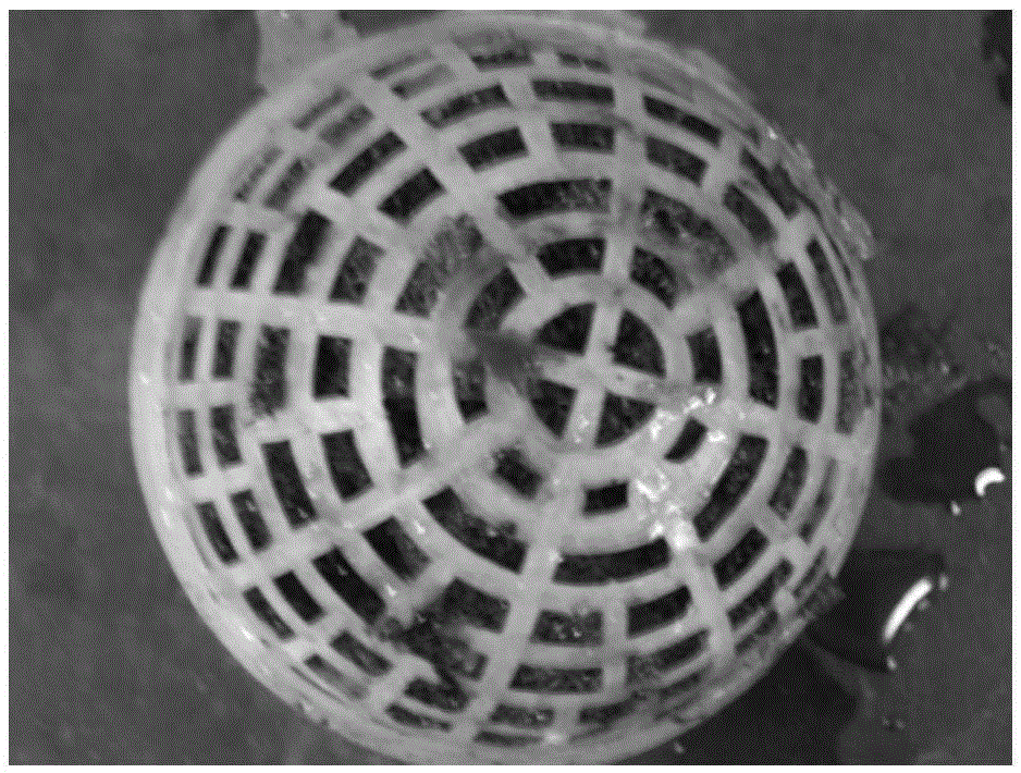 Fracturing flowback fluid biological processing method based on BESI technology