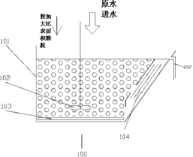 Biological strengthening treatment water system for large specific surface area particles