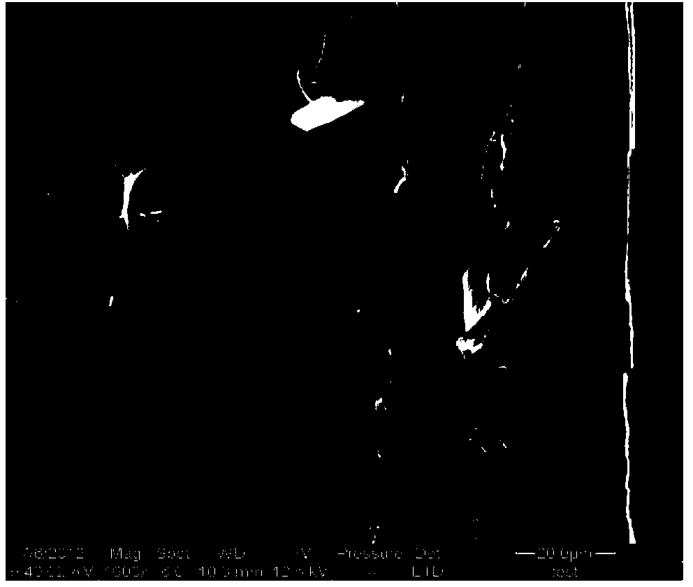 Hydrophobic wood-base photochromic composite preparation method