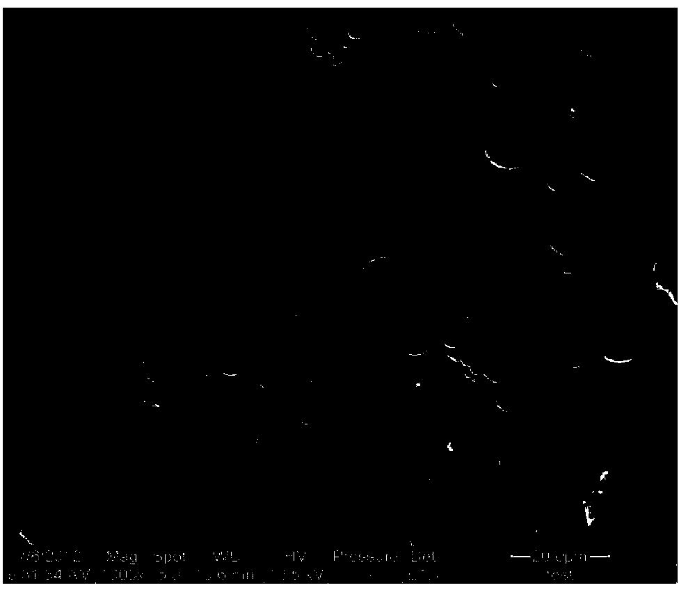 Hydrophobic wood-base photochromic composite preparation method