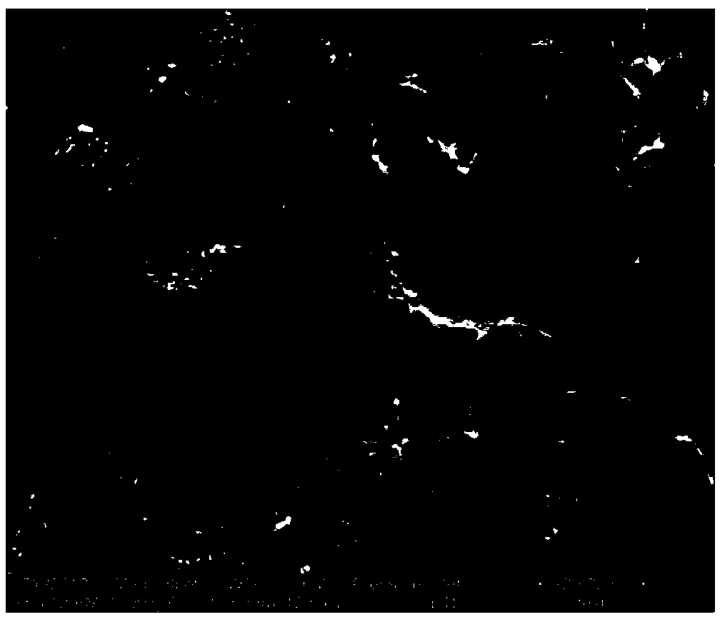 Hydrophobic wood-base photochromic composite preparation method