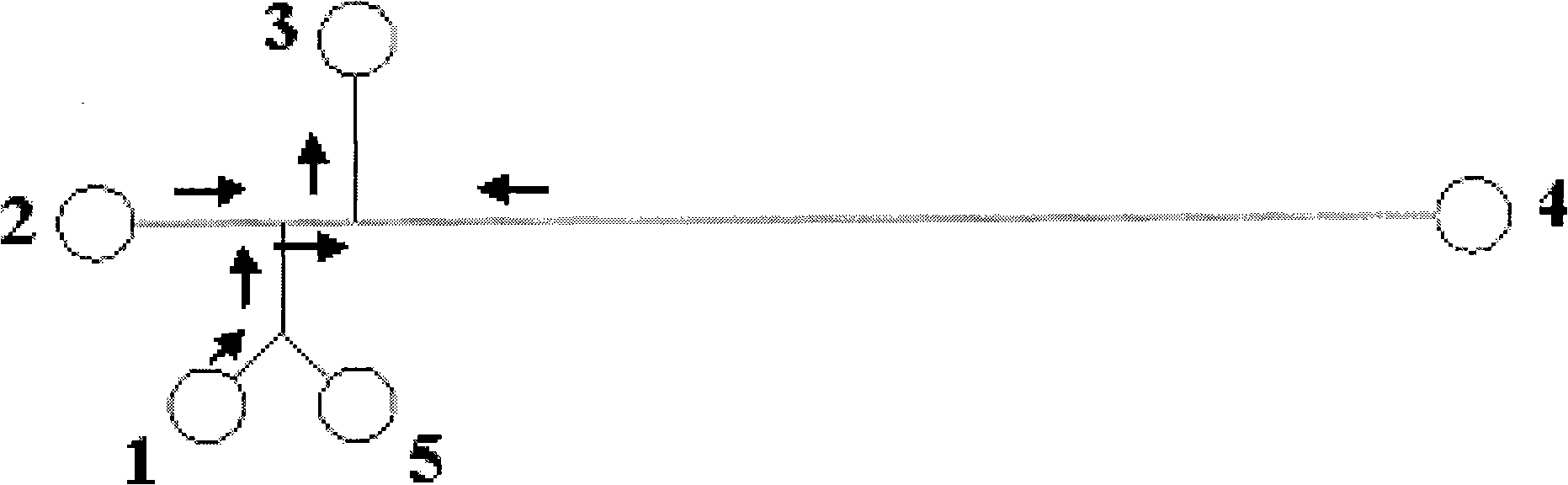 Special micro-flow control chip and single sampling continuous separation electrophoresis method