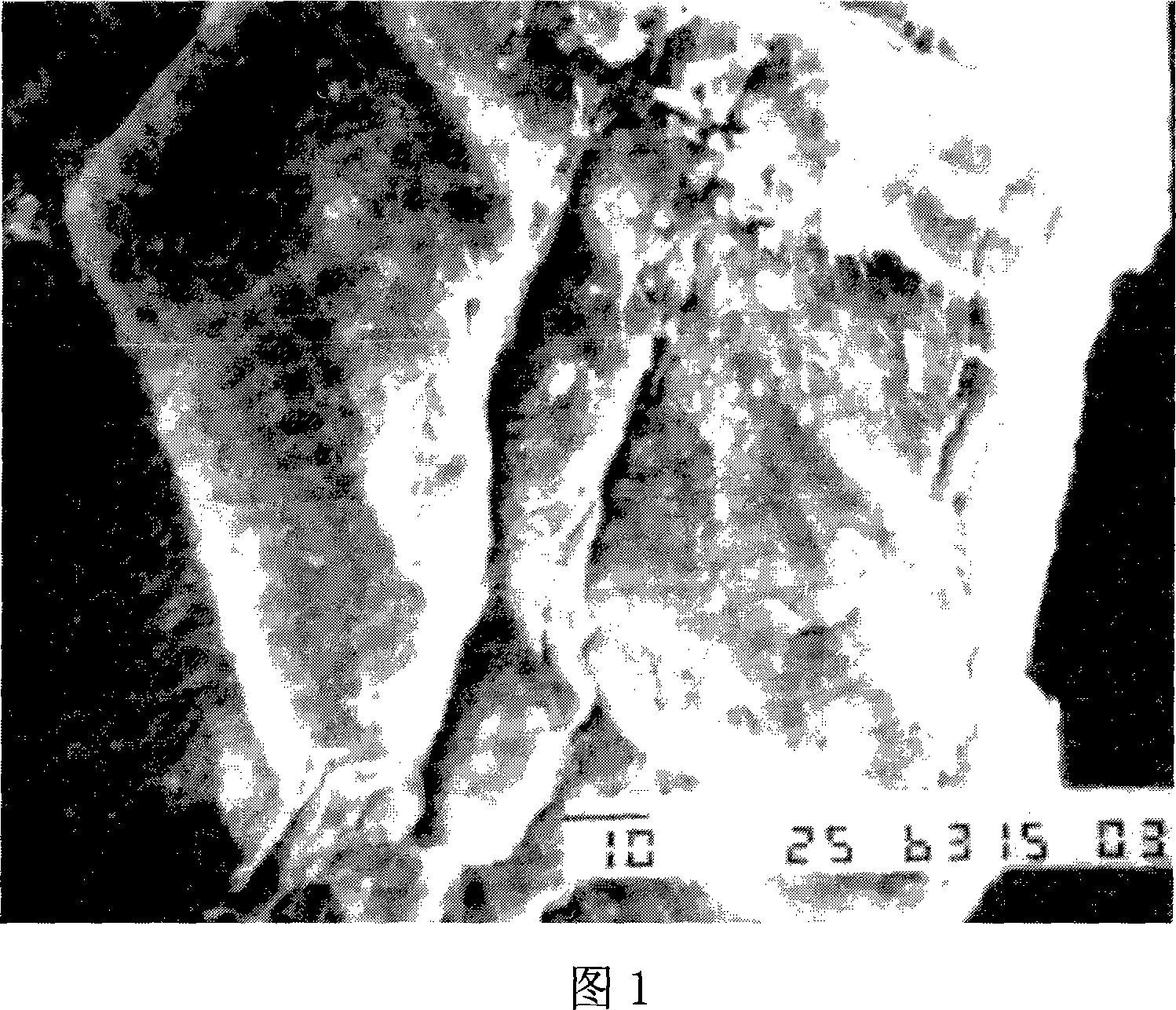 Method for fixing chitosan enzyme by using cross-linking adsorption of chitosan - glutaraldehyde