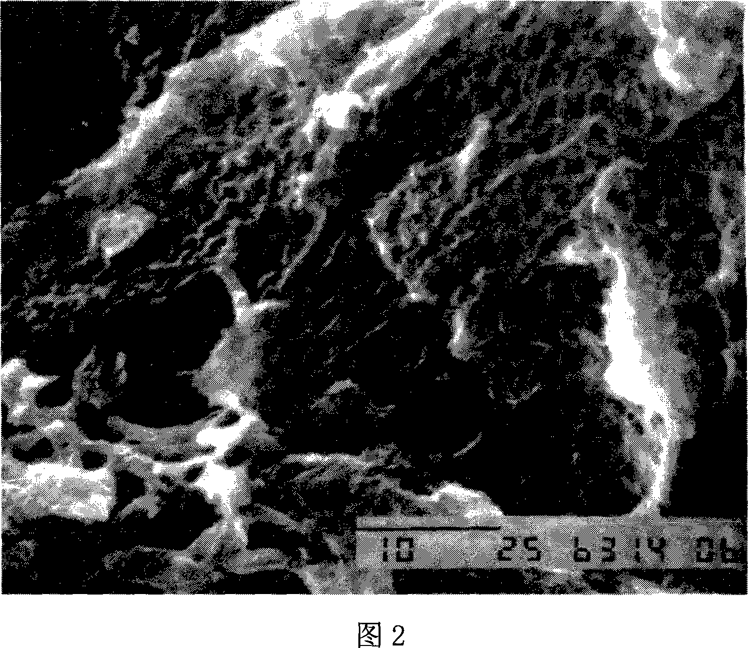 Method for fixing chitosan enzyme by using cross-linking adsorption of chitosan - glutaraldehyde