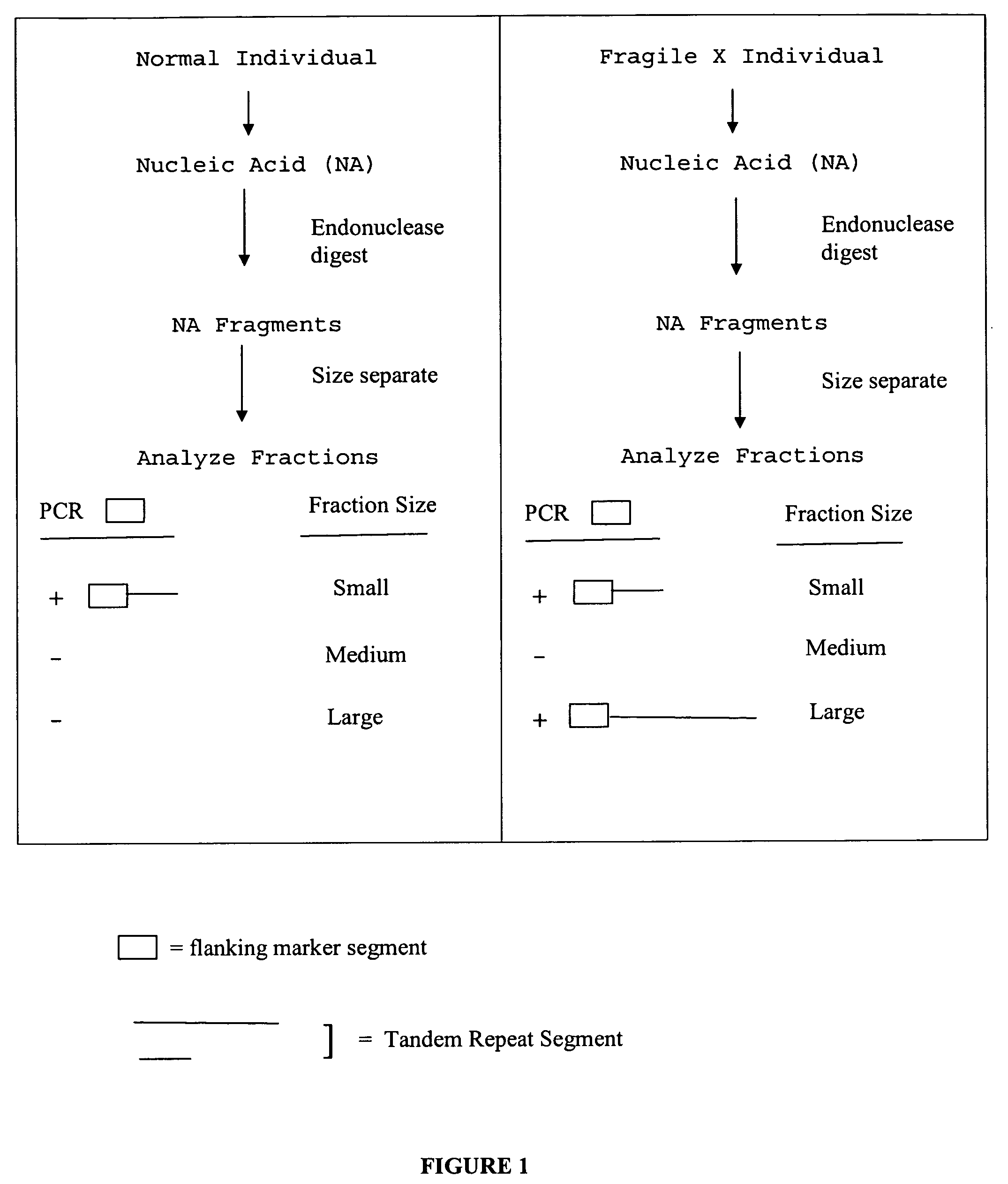 Nucleic acid size detection method