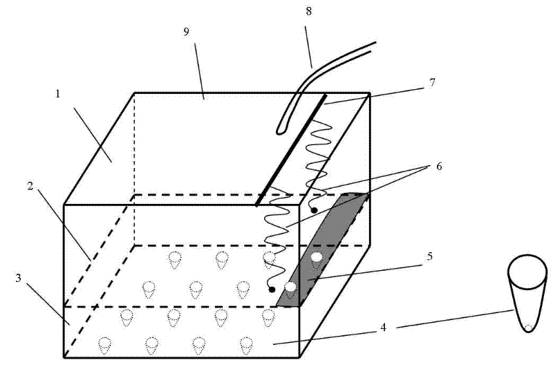 Automatic bean sprout watering device