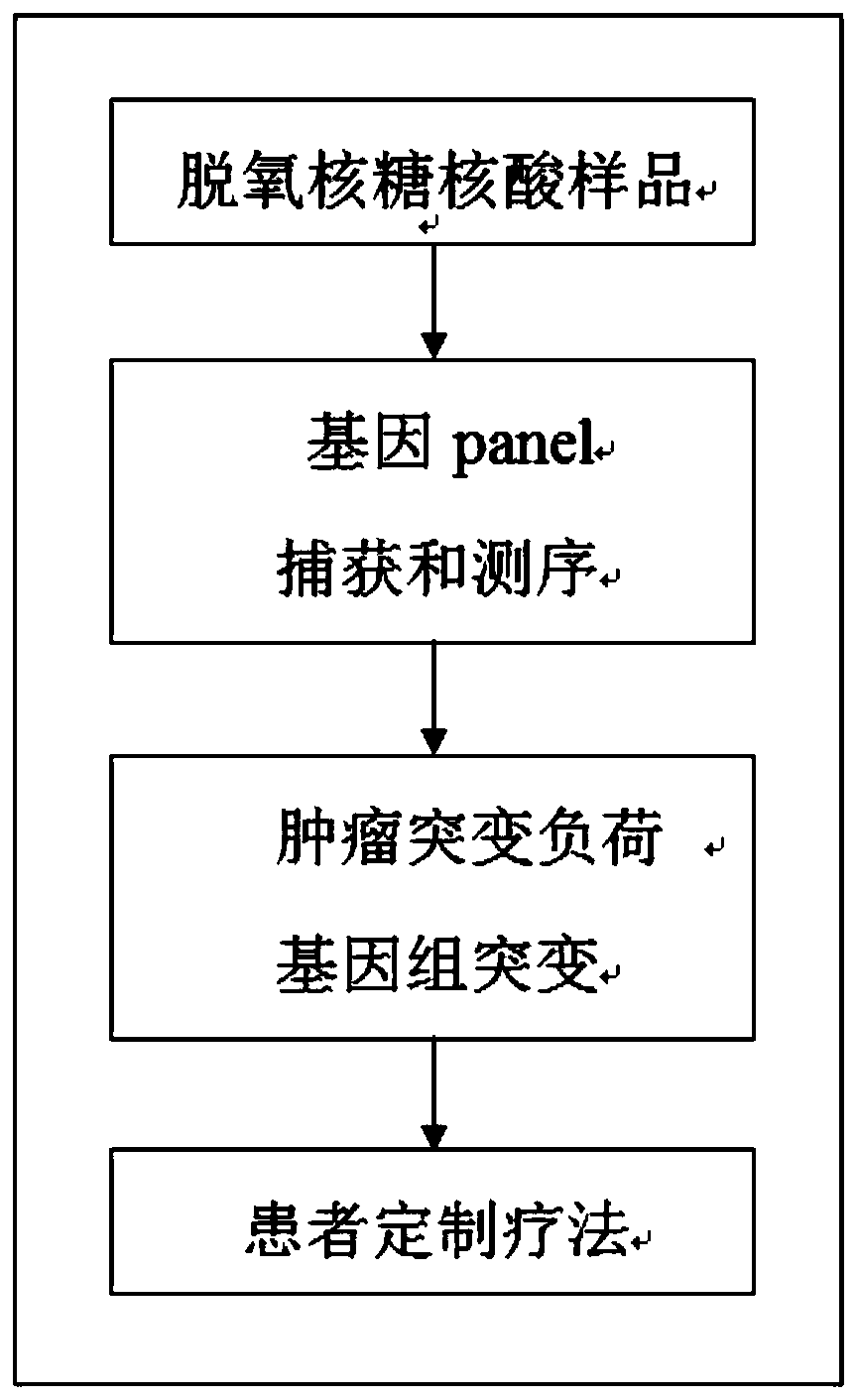 Gene panel for detecting tumor targeted drug related gene mutation, method, application and kit