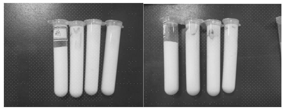 A preparation method of a composition containing spirulina polysaccharide extract