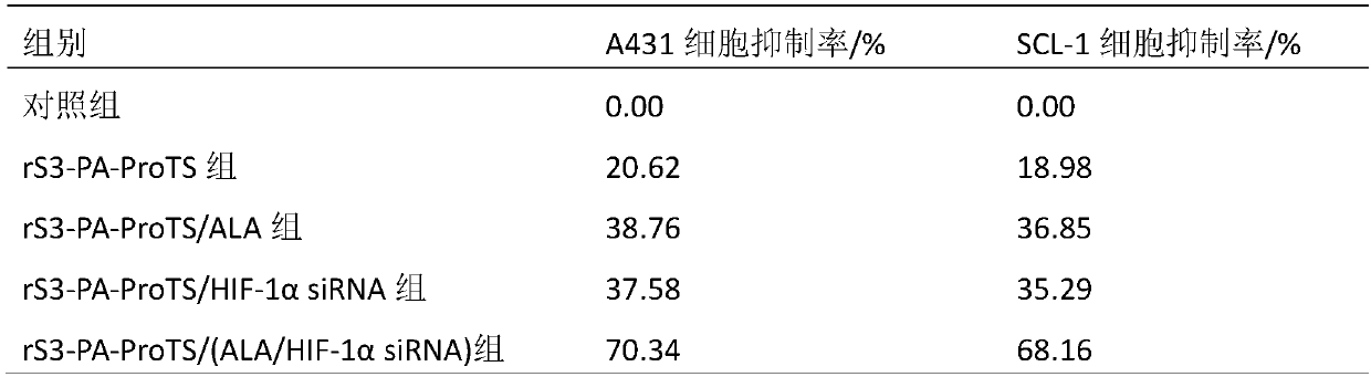 A co-loaded super deformable liposome targeting anti-squamous cell carcinoma of the skin and its preparation method and application