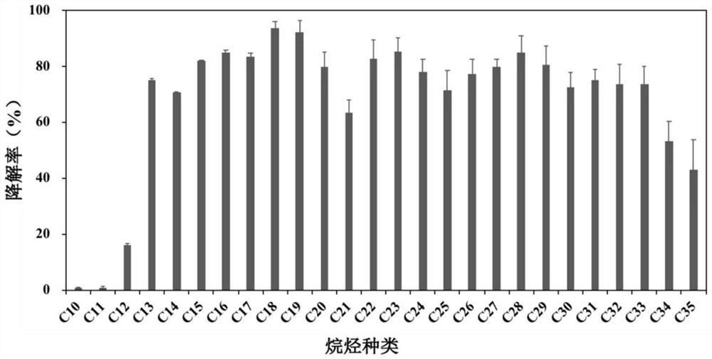 Alkane degrading functional bacterium XP4-7 and application thereof