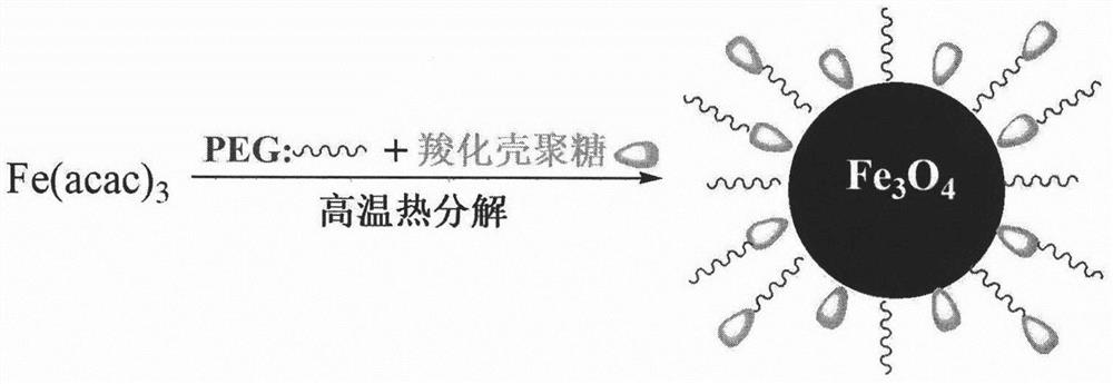 Technology for enhancing brain magnetic therapy effect by magnetic nanomaterial