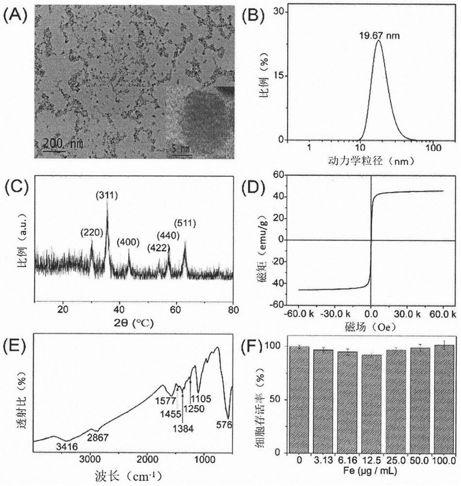 Technology for enhancing brain magnetic therapy effect by magnetic nanomaterial