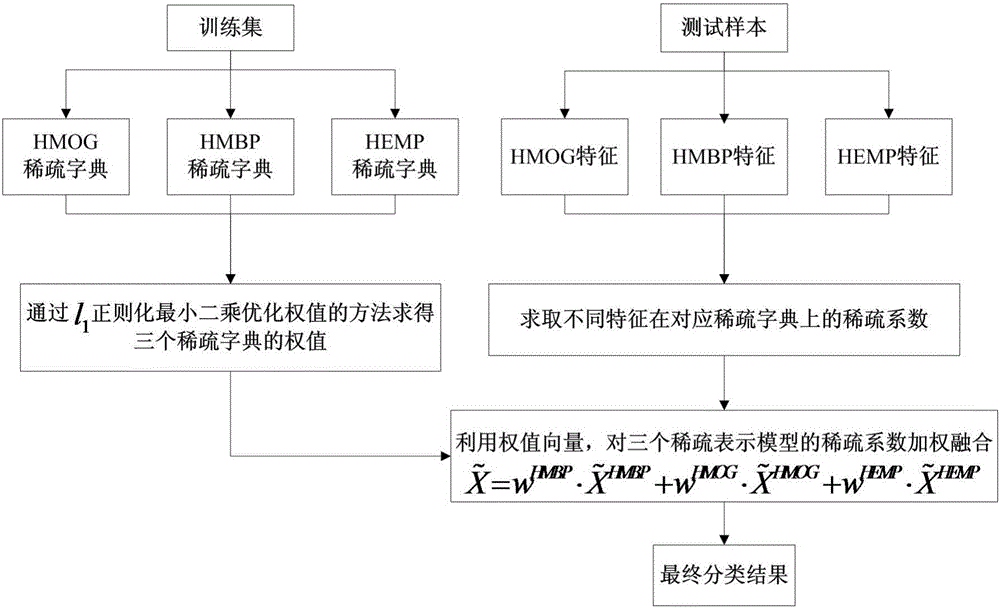 Monogenic multi-characteristic face expression identification method based on sparse fusion