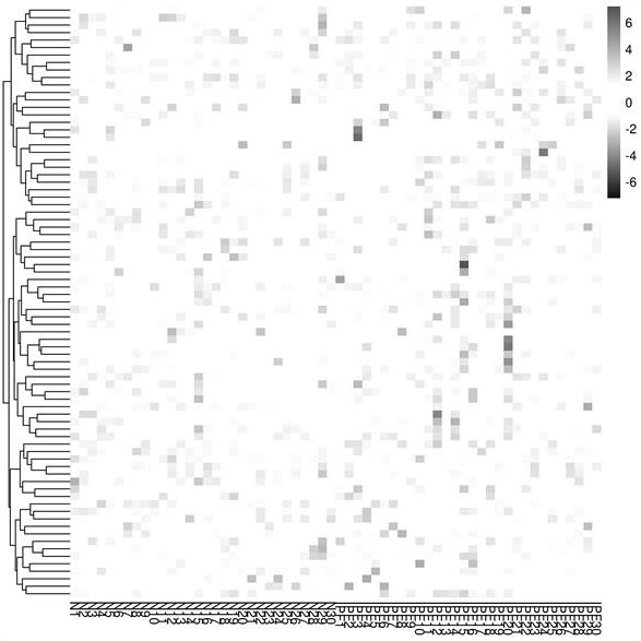 Idiopathic pulmonary fibrosis plasma protein marker and application thereof in preparation of detection reagent or diagnostic tool