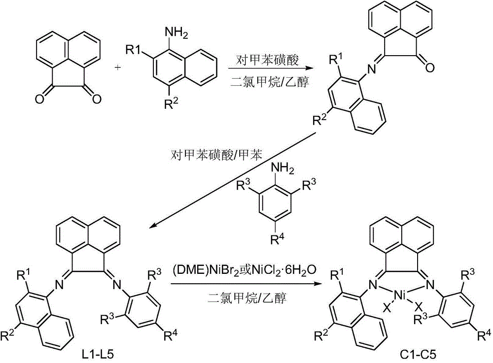 Naphthyl-substituted asymmetric acenaphthenediimine nickel complexes, and preparing method and applications thereof