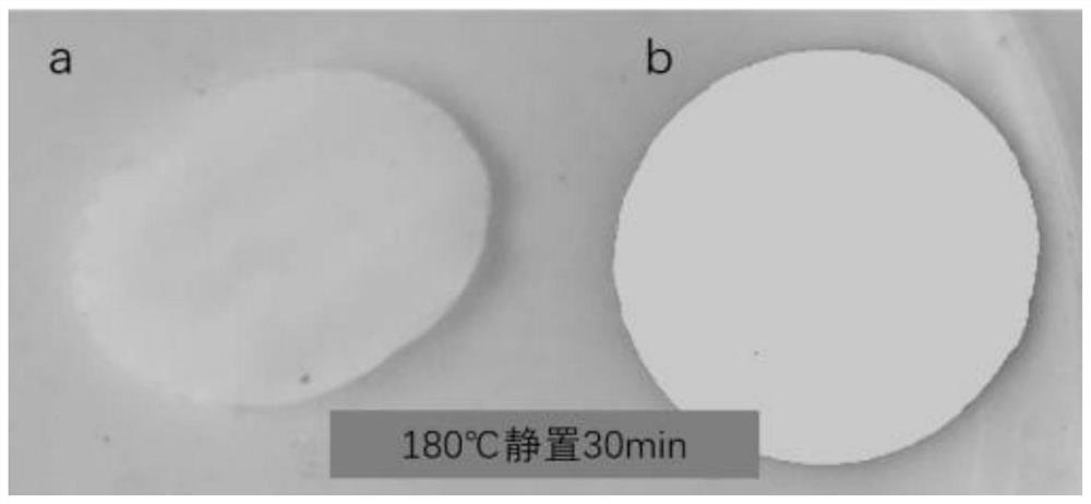 Self-supporting diaphragm, preparation method thereof, composite pole piece and secondary battery