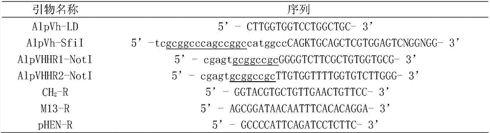 Nano-antibody aiming to c-Myc tag