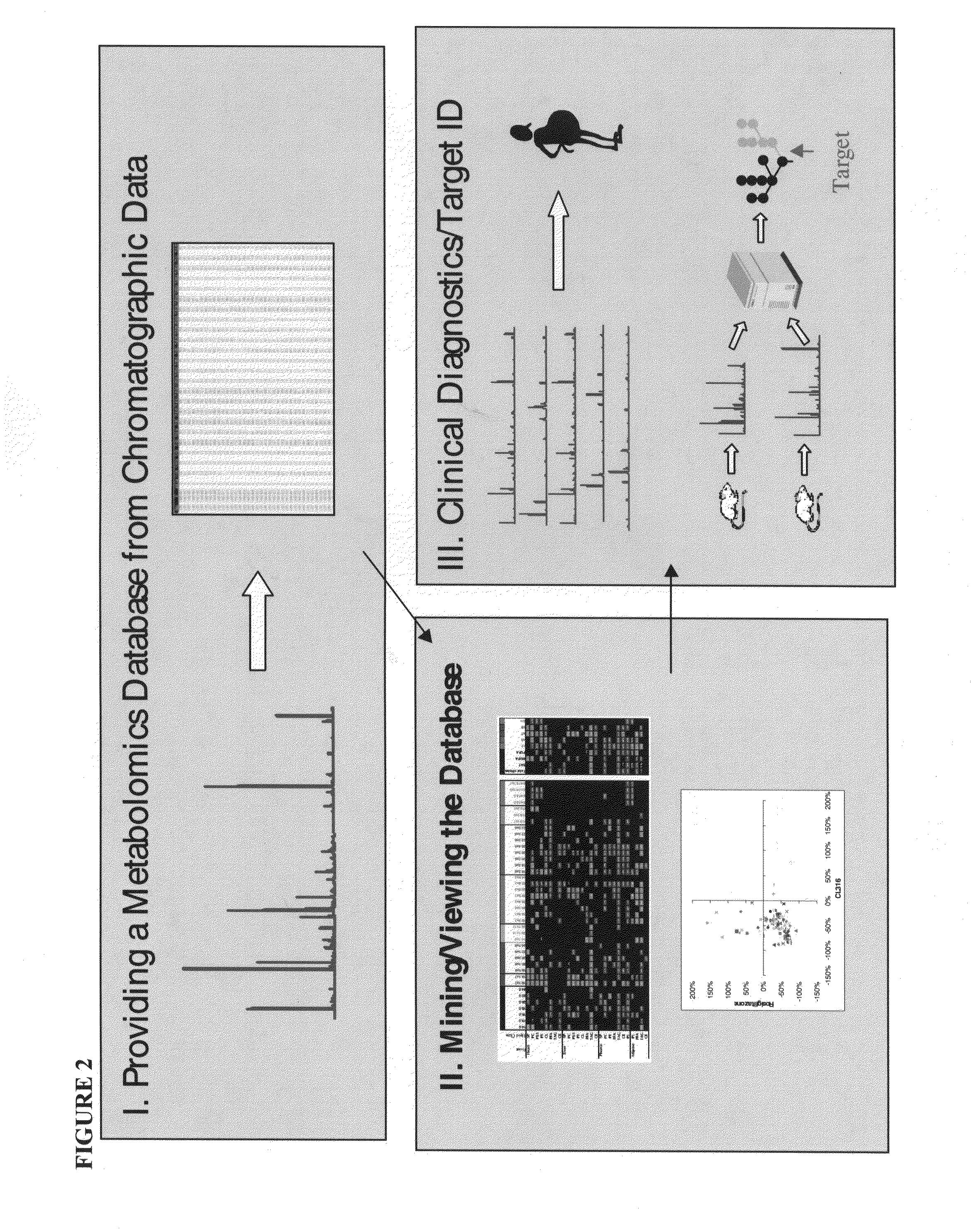 Generating, viewing, interpreting, and utilizing a quantitive database of metabolites