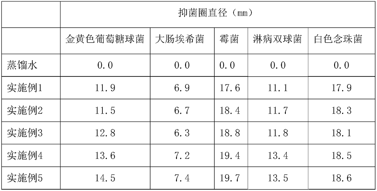 Pharmaceutical composition for resisting human papilloma virus and resisting gynecological inflammation, gel preparation and application