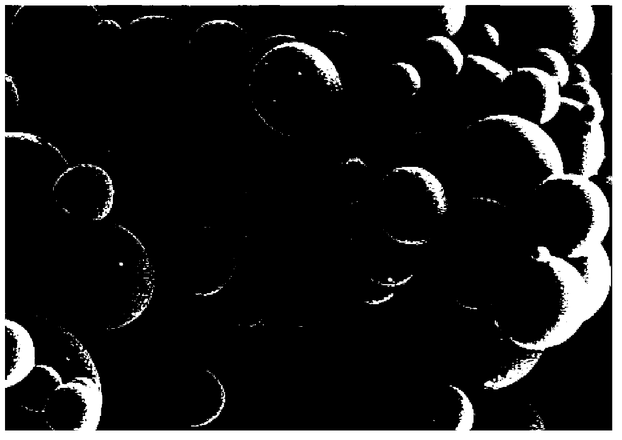 Method for preparing lithium titanate coated aluminum lithium ion battery negative pole material