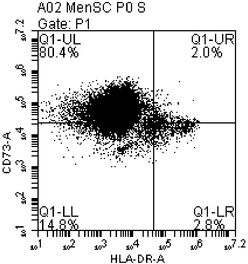 Menstrual blood preservation solution and application thereof, and method for separating and culturing menstrual blood-derived endometrial stem cells