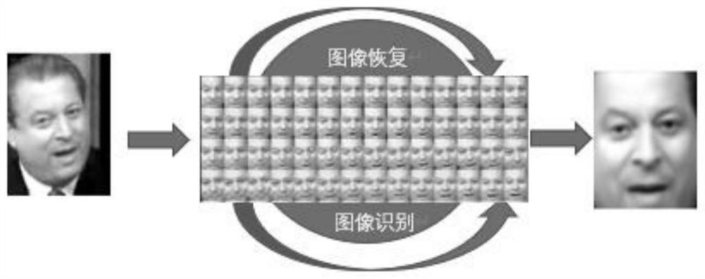 Degraded image restoration and identification method based on sparse low-rank prior