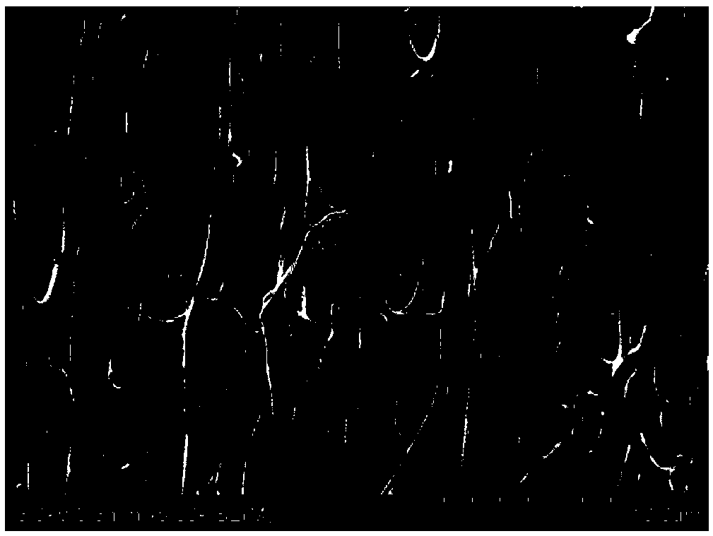 Ordered carbon-based composite electrode material and preparation method thereof