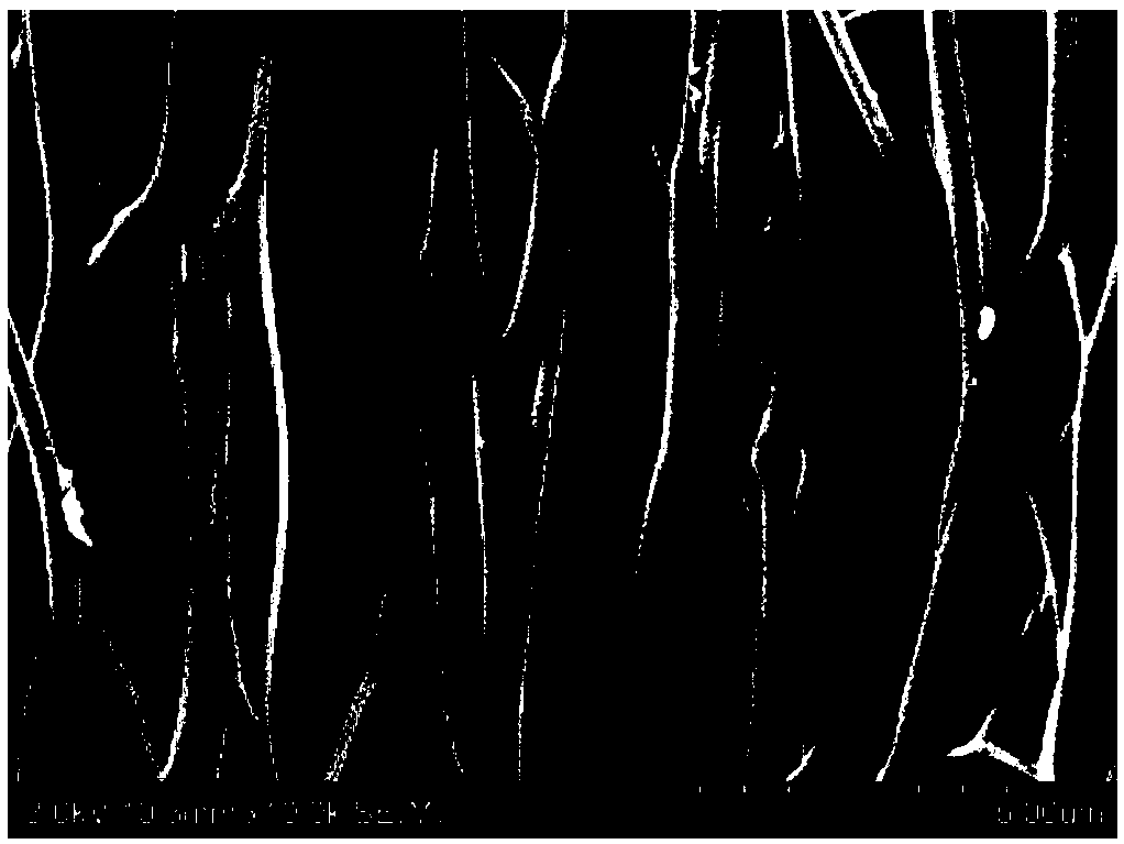 Ordered carbon-based composite electrode material and preparation method thereof