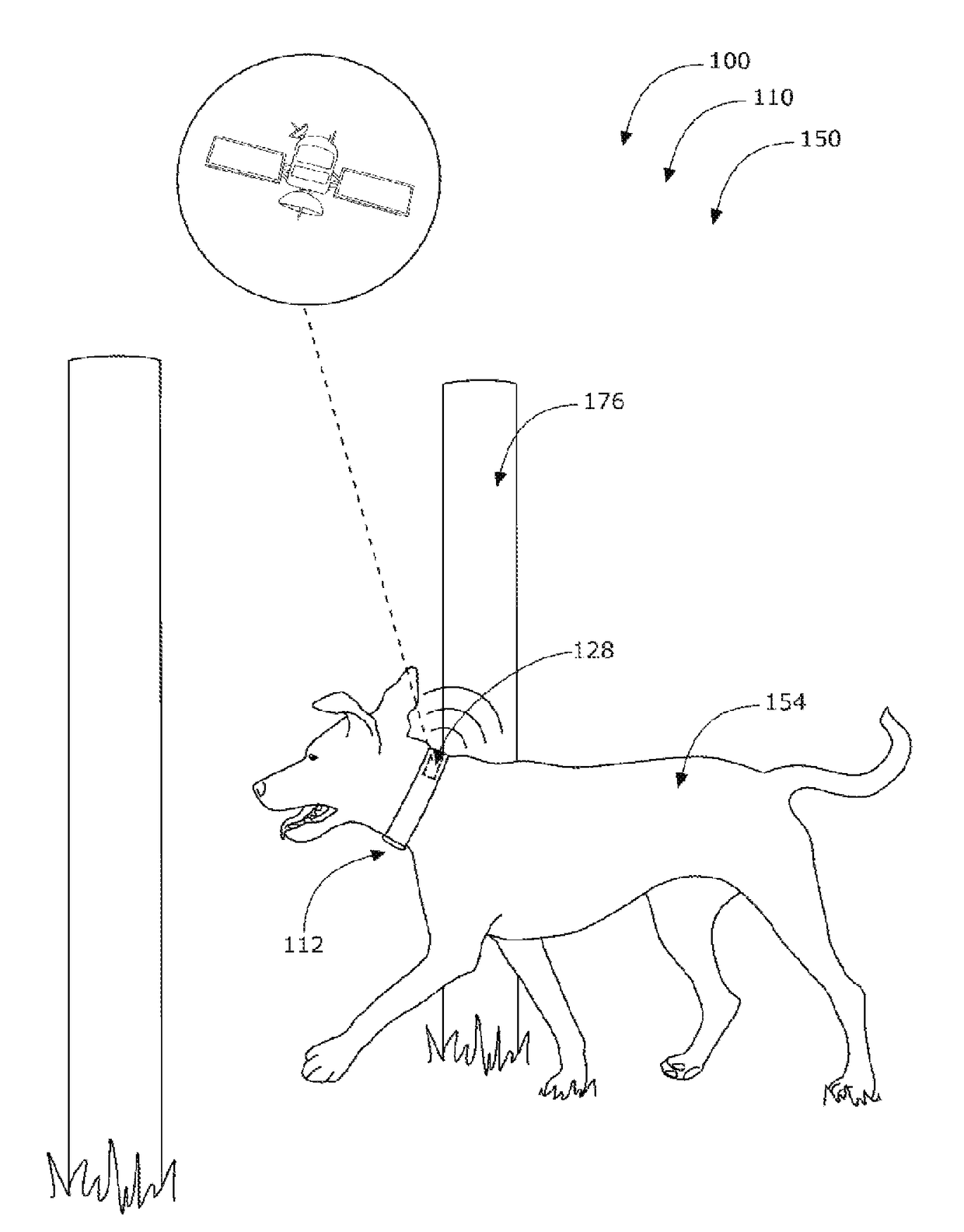 Dog train & track systems