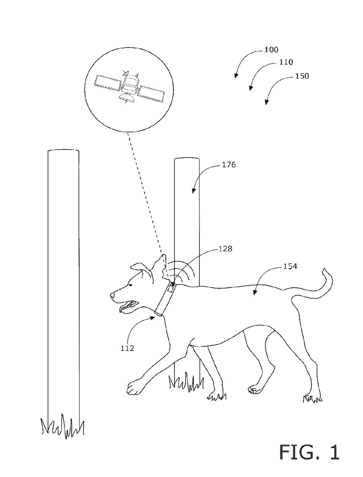 Dog train & track systems