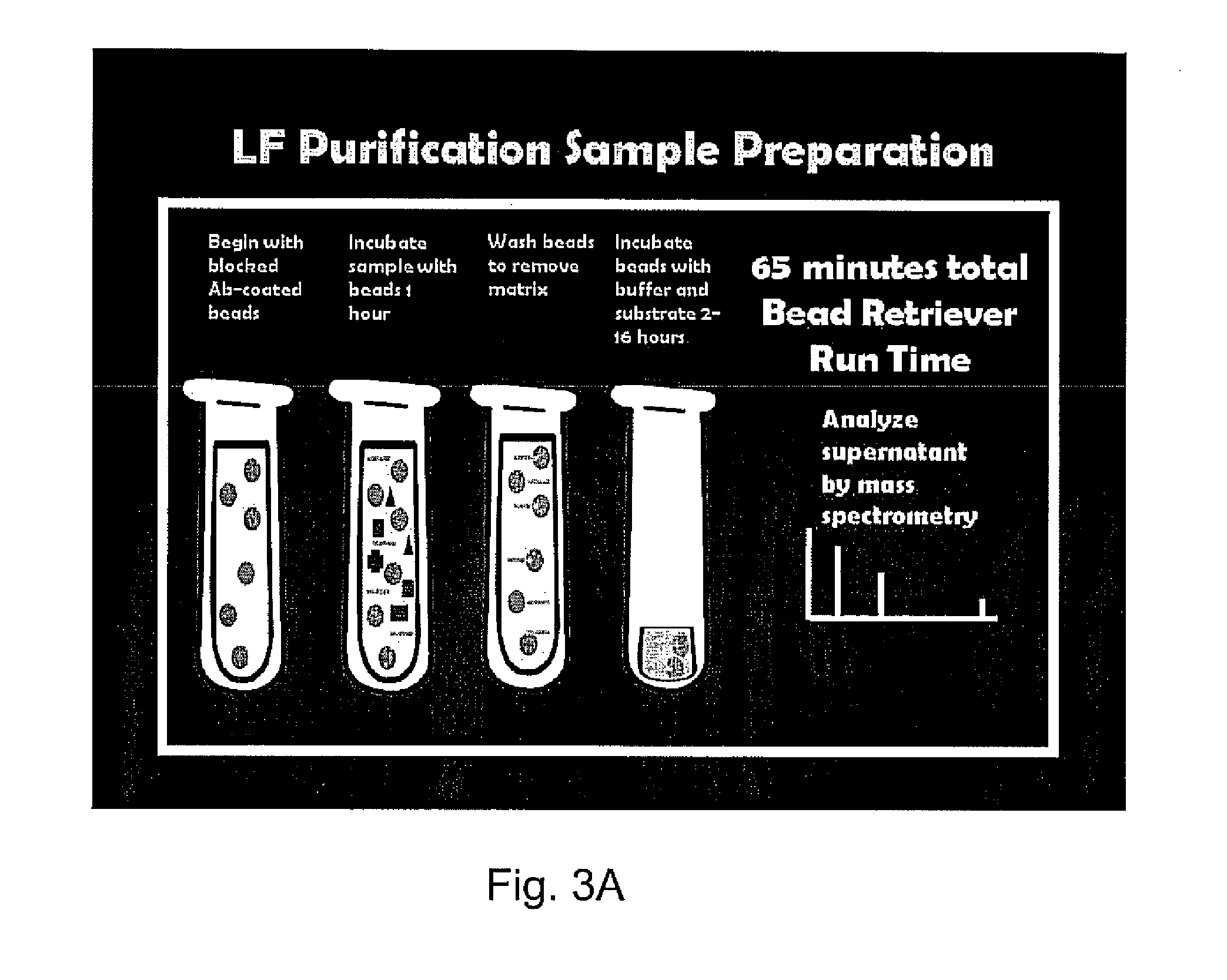 Detection of anthrax pathogenicity factors