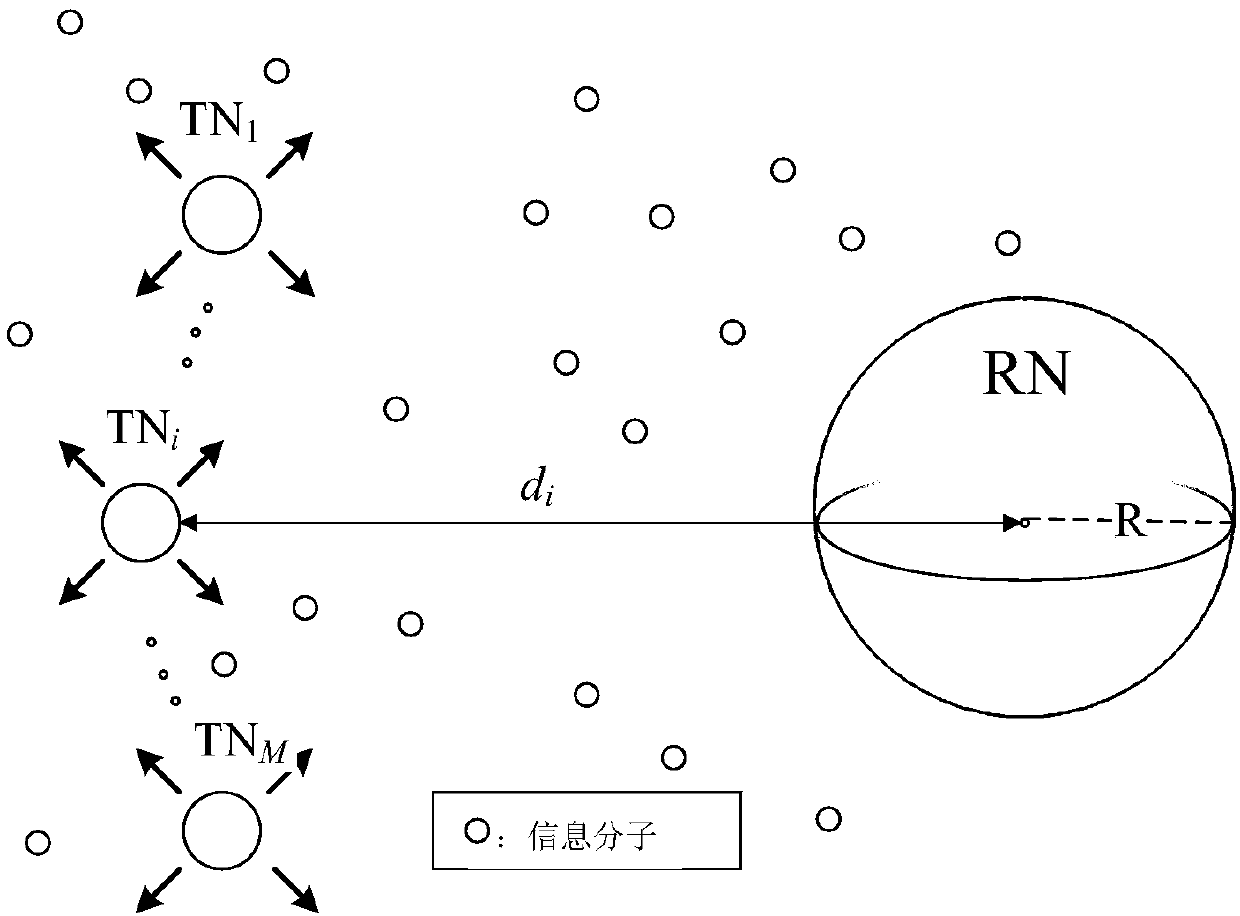 Channel capacity optimization method for diffusion-based multi-user molecular communication model