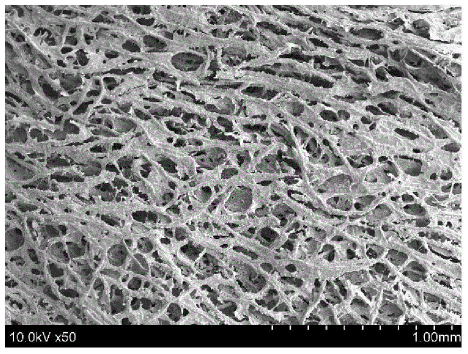 Cellulose sulfate hydrogel and preparation method thereof