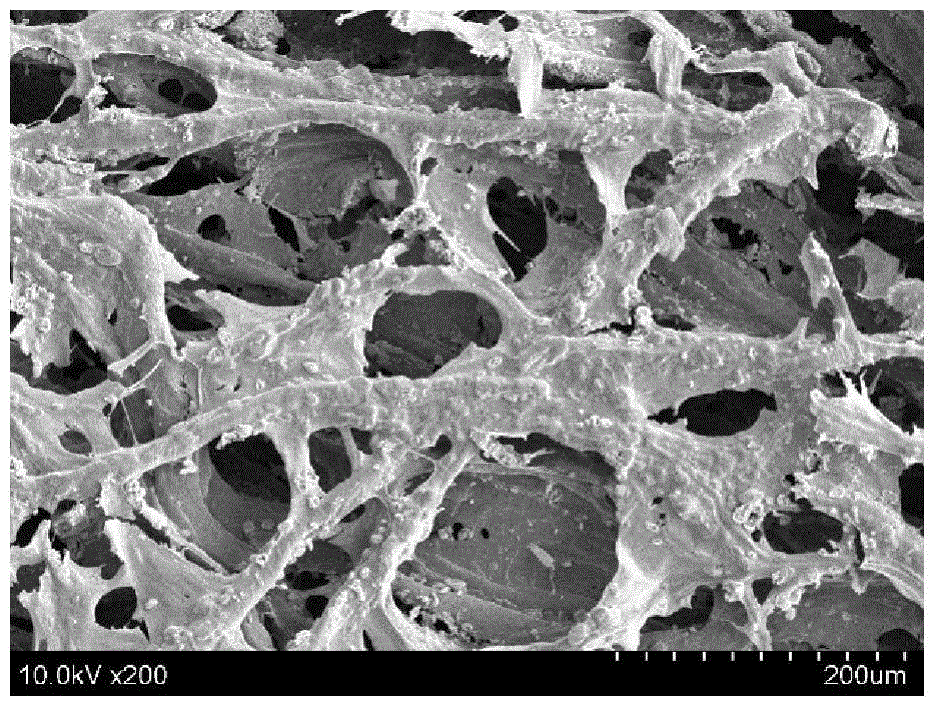 Cellulose sulfate hydrogel and preparation method thereof